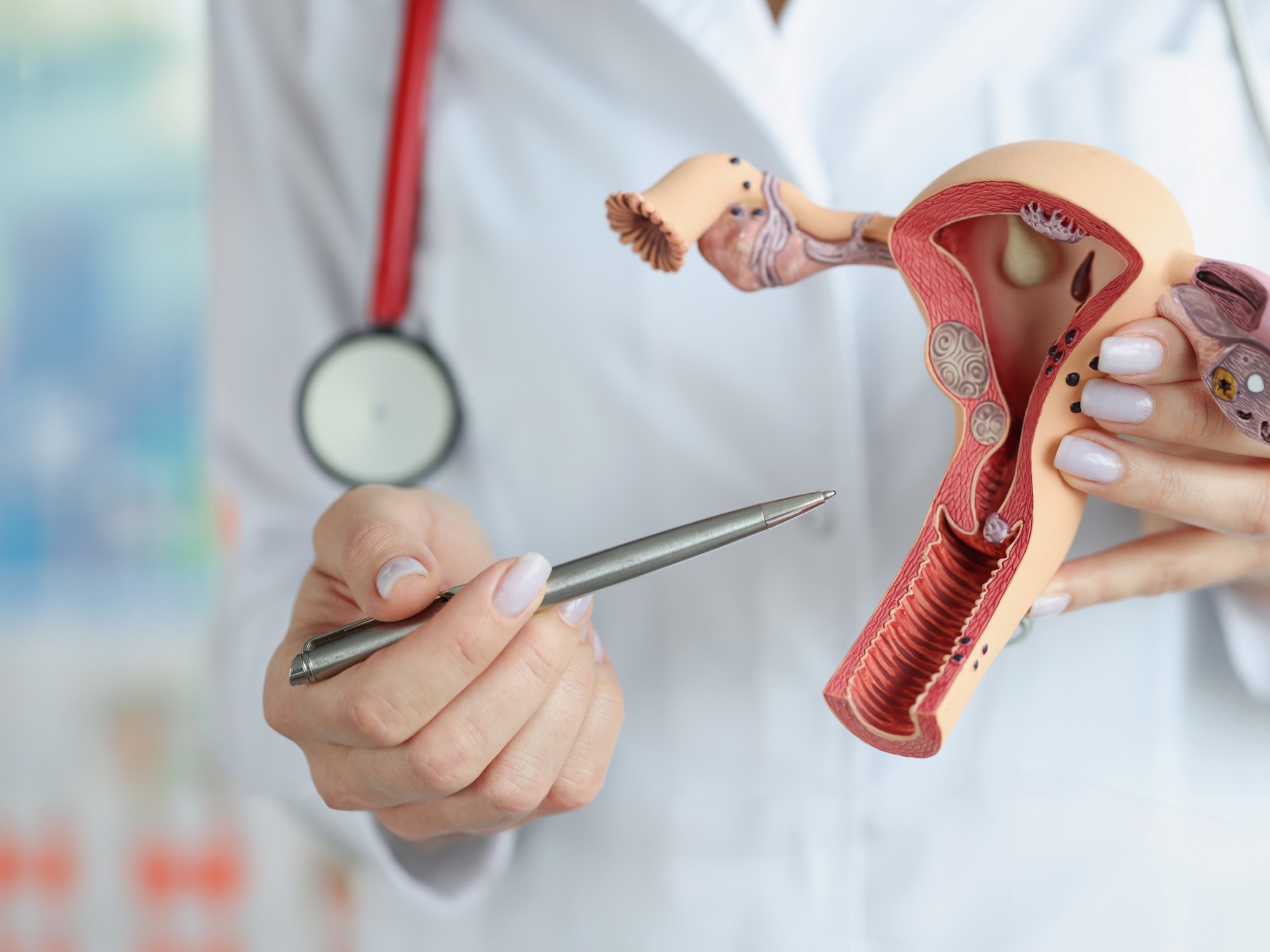 Nuevo mapa 3D del clítoris: qué cambia y por qué redefine lo que se sabía sobre el placer femenino | FM Avenida