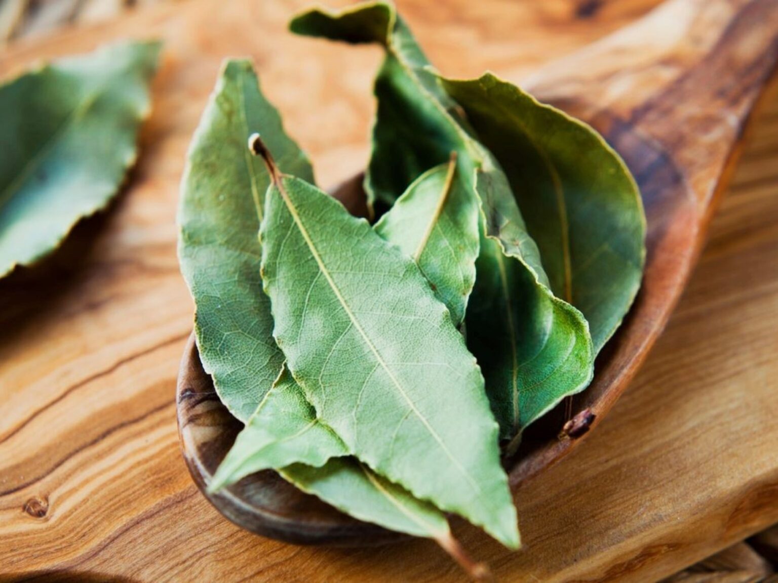 Por qué cada vez más gente se lava los pies con hojas de laurel antes de dormir y cuándo conviene hacerlo | FM Avenida