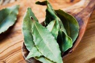 Por qué cada vez más gente se lava los pies con hojas de laurel antes de dormir y cuándo conviene hacerlo | FM Avenida