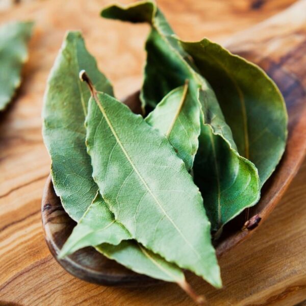 Por qué cada vez más gente se lava los pies con hojas de laurel antes de dormir y cuándo conviene hacerlo | FM Avenida