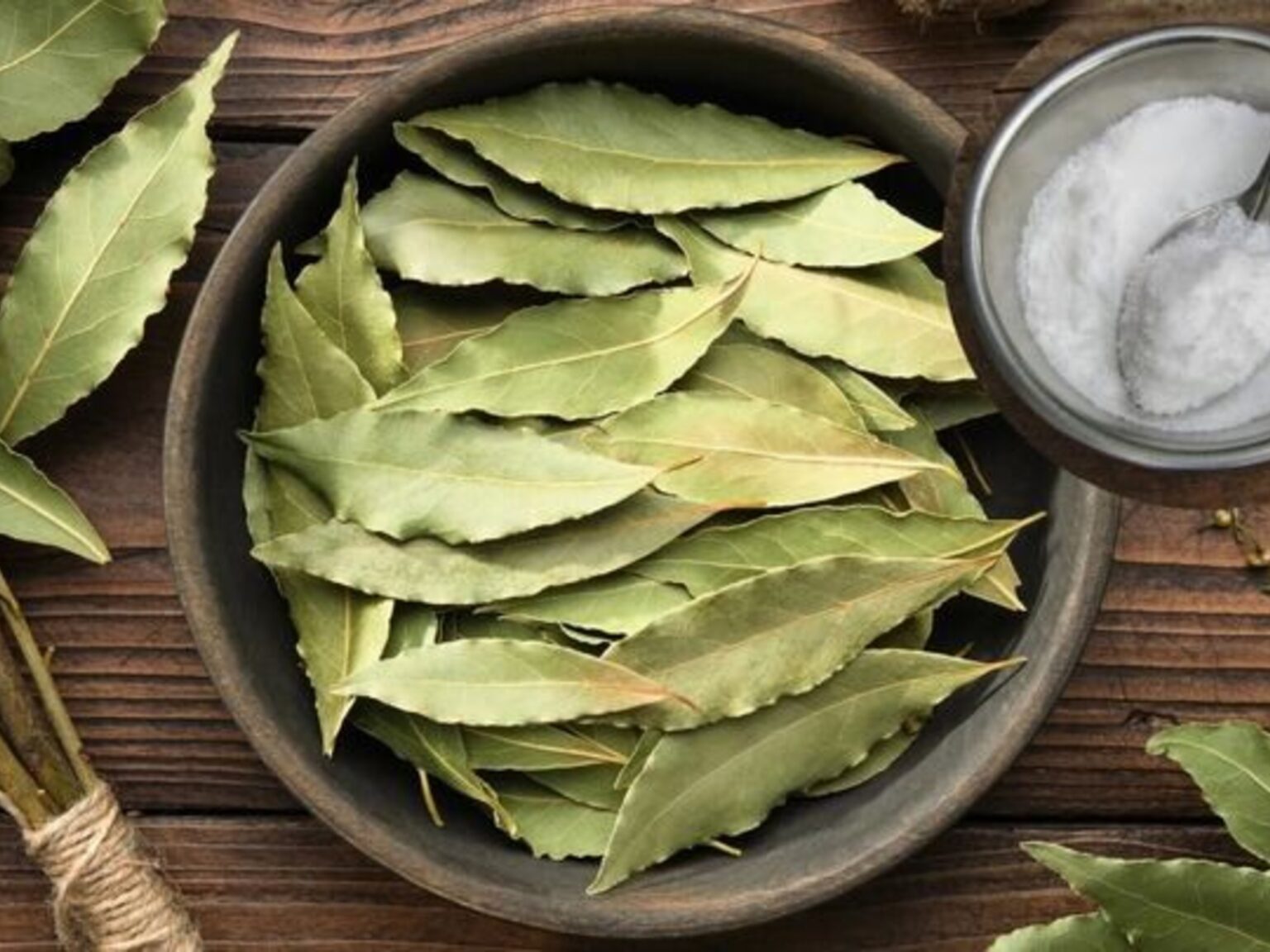 Quemar laurel y sal en casa: para qué sirve y por qué el Feng Shui lo recomienda | FM Avenida