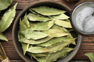 Quemar laurel y sal en casa: para qué sirve y por qué el Feng Shui lo recomienda | FM Avenida