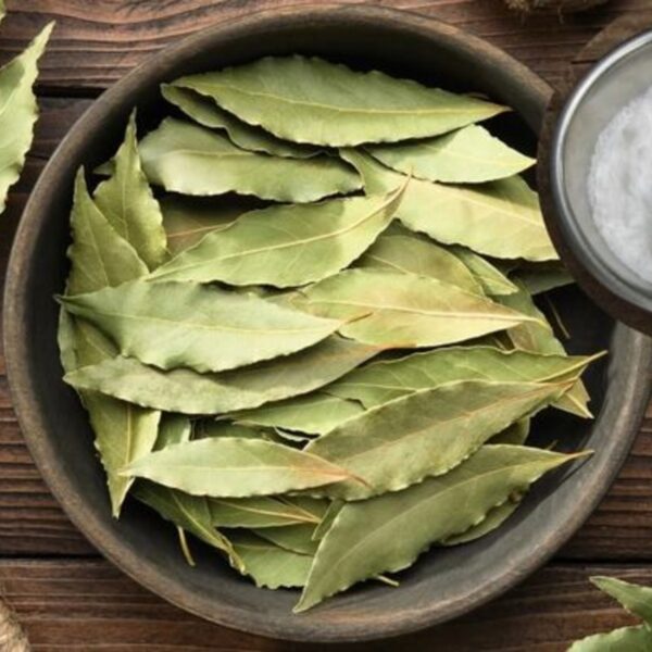 Quemar laurel y sal en casa: para qué sirve y por qué el Feng Shui lo recomienda | FM Avenida