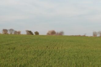 Reto visual: ¿podés encontrar al aguilucho en menos de 30 segundos? | FM Avenida