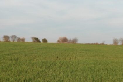 Reto visual: ¿podés encontrar al aguilucho en menos de 30 segundos? | FM Avenida