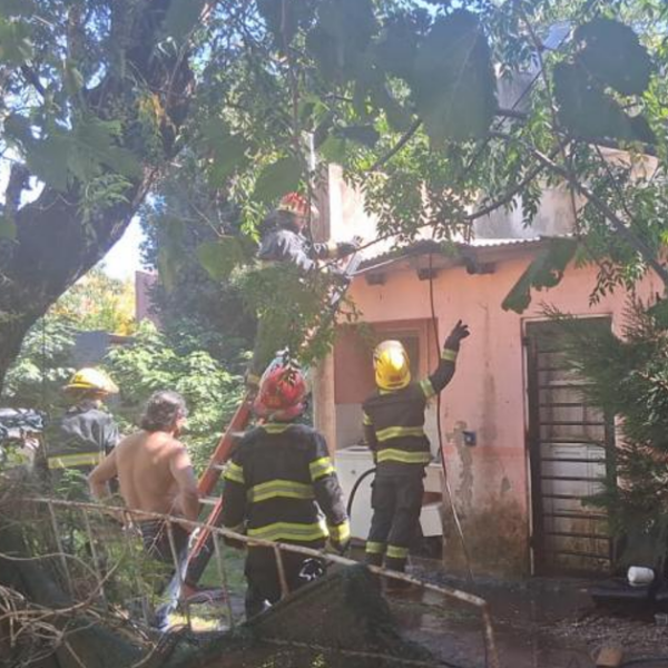 Se incendió una vivienda por una falla eléctrica: no hubo heridos | FM Avenida