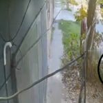 Un nene de 5 años fue arrastrado una cuadra por un colectivo en Villa Fiorito | FM Avenida