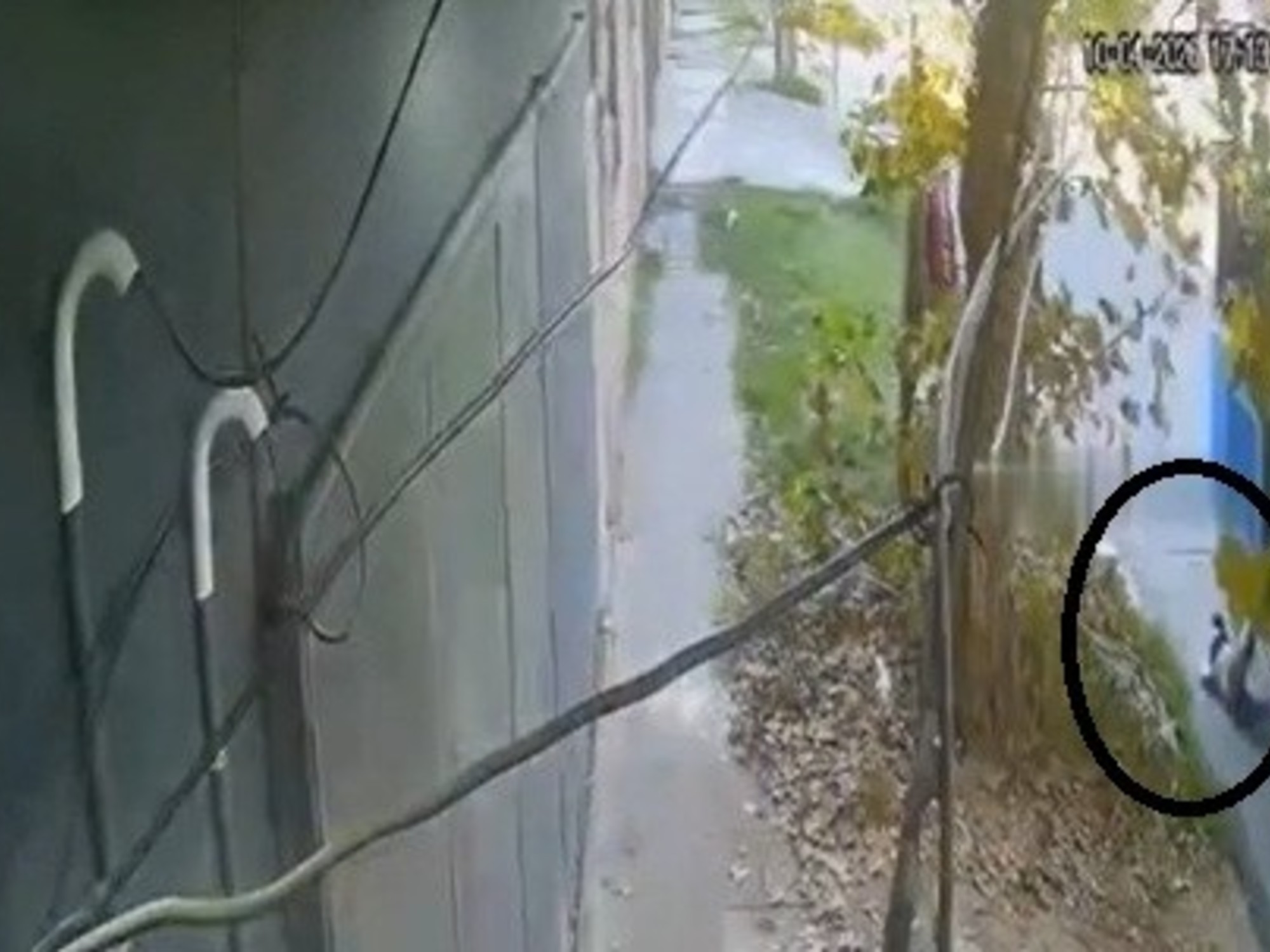 Un nene de 5 años fue arrastrado una cuadra por un colectivo en Villa Fiorito | FM Avenida