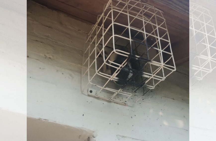 Preocupan los hechos de vandalismo y disturbios en el barrio 66 Viviendas