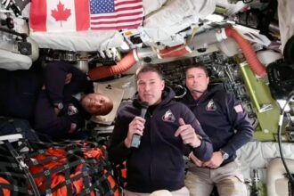 "Parece que vamos a estrellarnos contra la Tierra", la llamativa descripción de uno de los astronautas de la Artemis II | FM Avenida