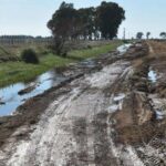 Caminos rurales en Provincia: CARBAP advirtió que los municipios “hicieron poco y nada” | FM Avenida