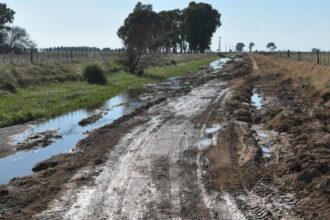 Caminos rurales en Provincia: CARBAP advirtió que los municipios “hicieron poco y nada” | FM Avenida