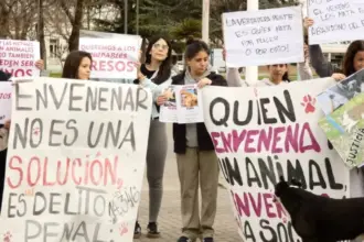 Envenenamiento de perros en Bolívar: aseguran que un carnicero mató a una decena de canes | FM Avenida