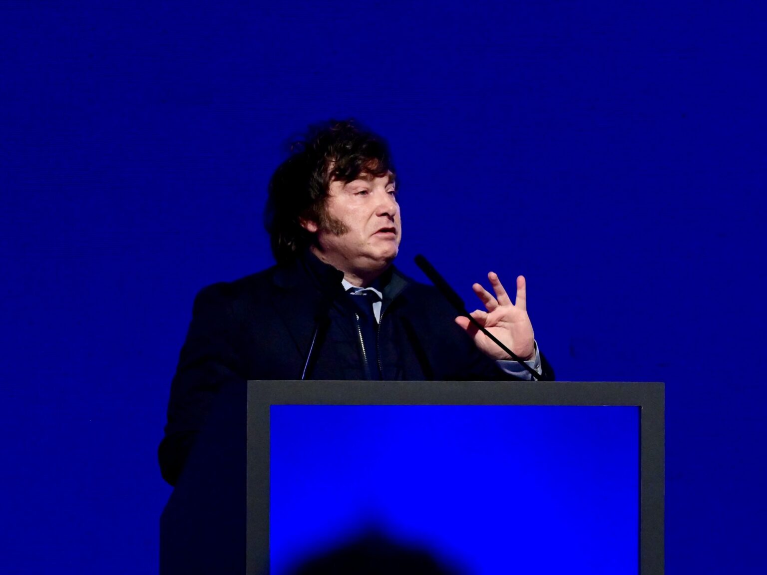 Javier Milei buscó desligarse del aumento de los créditos impagos: "No hay elementos para culpar al Gobierno por el tema morosidad" | FM Avenida