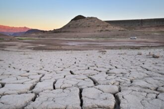 La sequía de EE.UU abre una enorme oportunidad a la ganadería argentina | FM Avenida