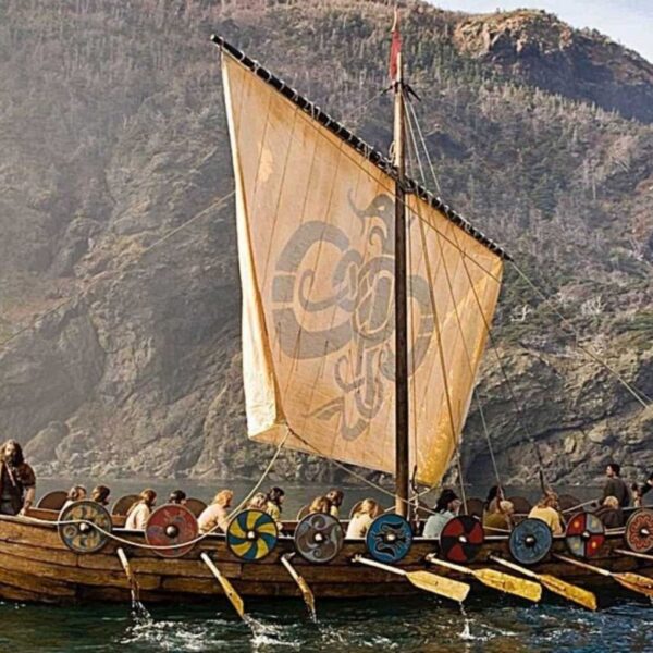 Proverbio vikingo: “No hay mejor equipaje para llevar encima que la cordura y la mente clara. En tierras lejanas es más útil que el oro y saca al pobre de los apuros” | FM Avenida