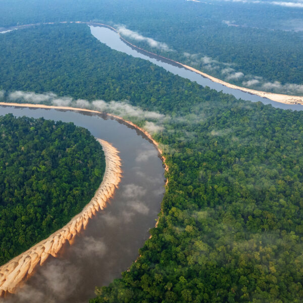 A sus 85 años, transformó parte de su propiedad en una reserva permanente, alberga proyectos de investigación y afirma haber devuelto a la naturaleza a más de 10.000 animales salvajes | FM Avenida