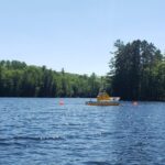 Científicos retiraron más del 70% de los troncos sumergidos de la mitad de un lago de Wisconsin; en dos años, su población de perca amarilla, que antes era dominante, casi había desaparecido | FM Avenida