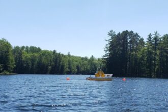 Científicos retiraron más del 70% de los troncos sumergidos de la mitad de un lago de Wisconsin; en dos años, su población de perca amarilla, que antes era dominante, casi había desaparecido | FM Avenida