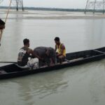 Cinco pescadores le salvaron la vida a un elefante bebé que se estaba ahogando y lo llevaron con su madre: "Una hermosa historia de rescate y reencuentro" | FM Avenida