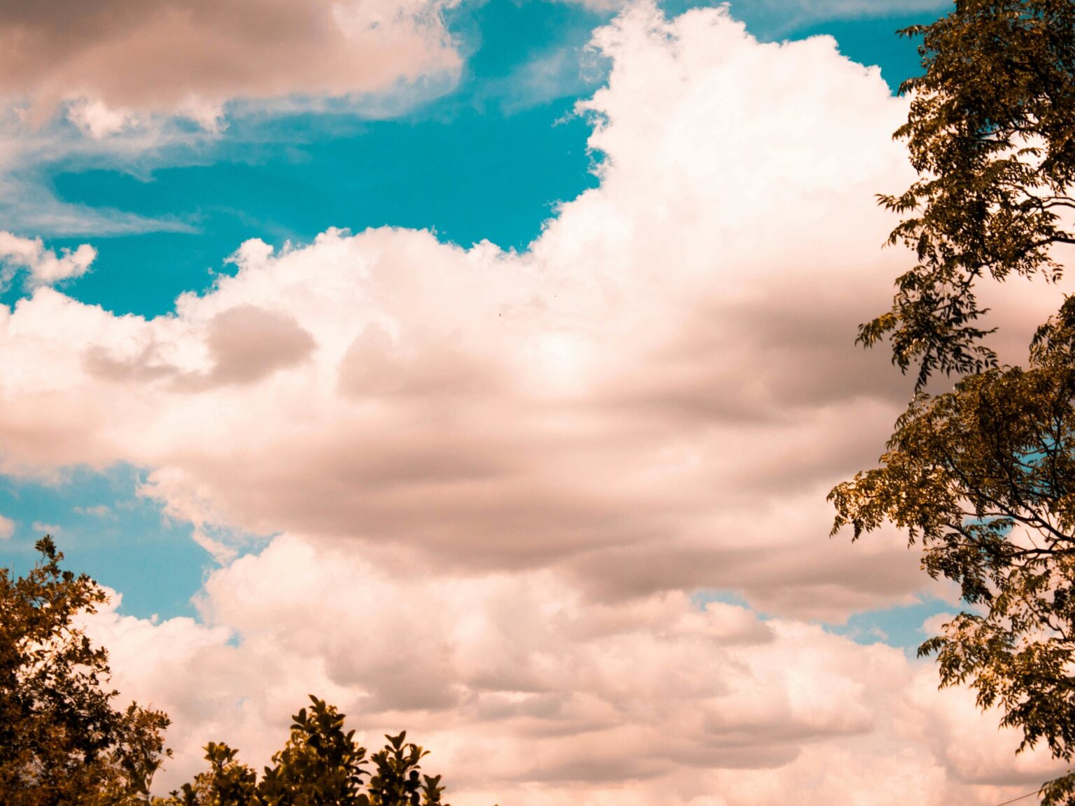 Clima hoy en Puebla de Zaragoza, México: el pronóstico del tiempo para este viernes 18 septiembre de 2026 | FM Avenida