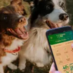 Cuenta DNI: Una por una, las promos y los descuentos en septiembre, con nuevo beneficio en veterinarias y Pet Shops | FM Avenida