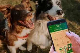 Cuenta DNI: Una por una, las promos y los descuentos en septiembre, con nuevo beneficio en veterinarias y Pet Shops | FM Avenida