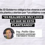 El Gobierno obliga a etiquetar planta por planta y en los viveros bonaerenses advierten que la medida "es inaplicable" | FM Avenida