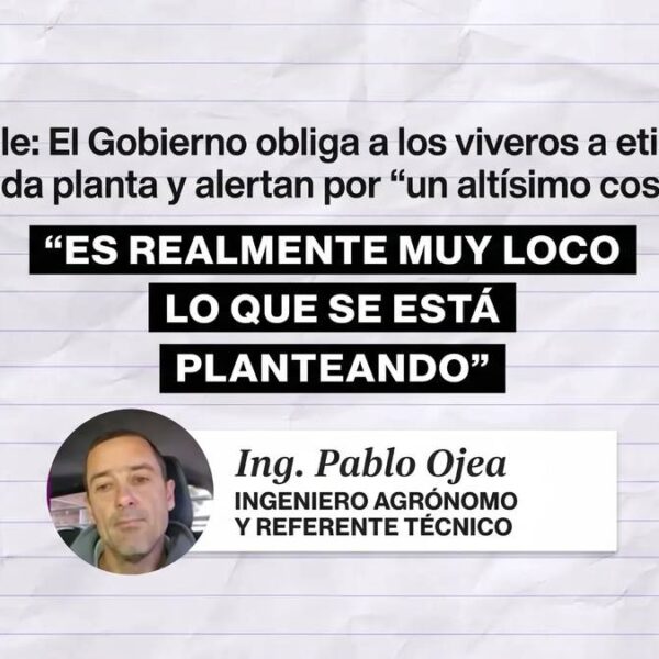 El Gobierno obliga a etiquetar planta por planta y en los viveros bonaerenses advierten que la medida "es inaplicable" | FM Avenida