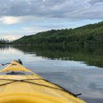 En 2009, Minnesota trató el lago Pickerel con veneno para peces para eliminar la carpa común; posteriormente, la claridad del agua aumentó casi un 600% y la cobertura vegetal pasó del 4,6% al 90% | FM Avenida