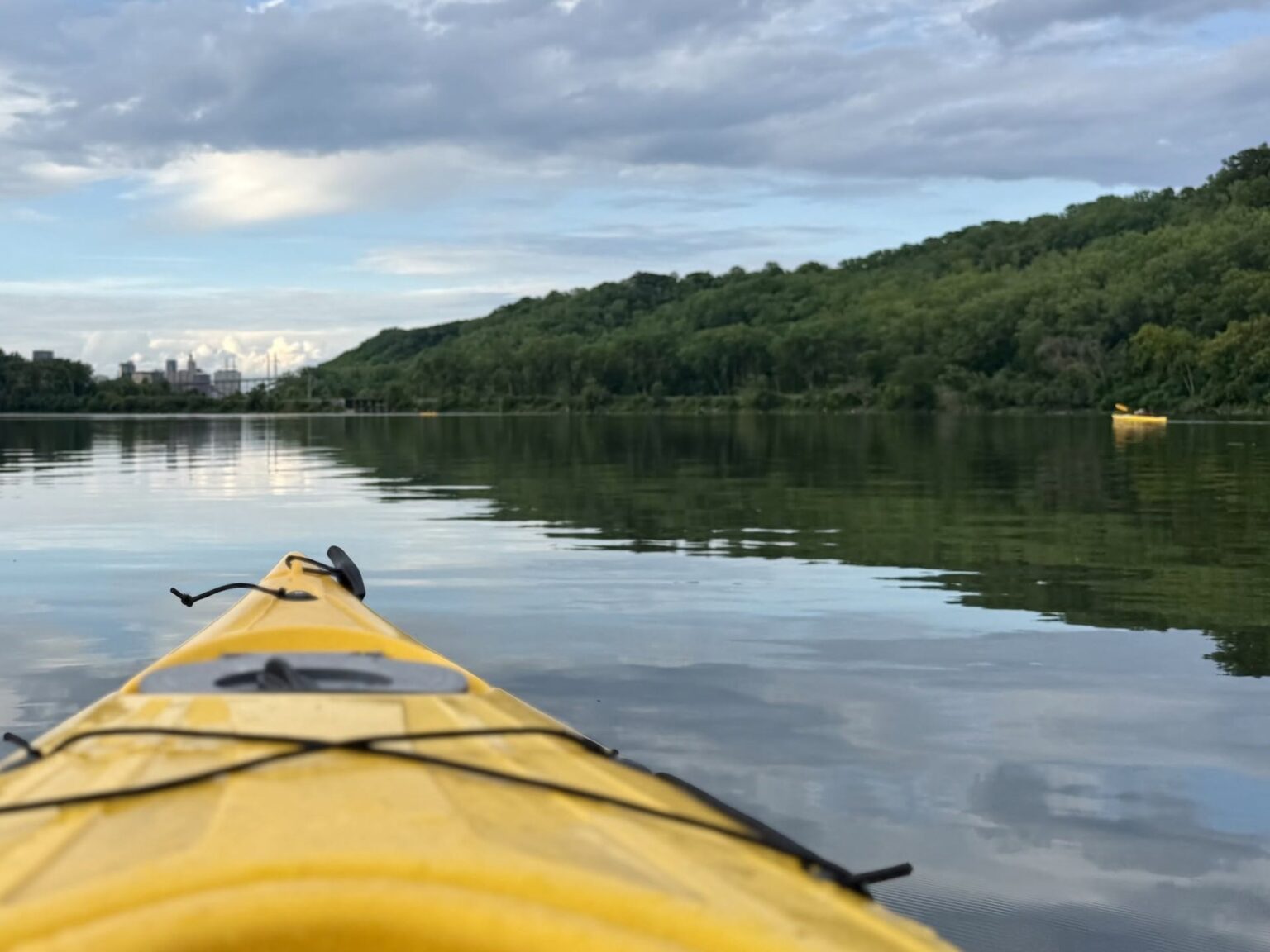 En 2009, Minnesota trató el lago Pickerel con veneno para peces para eliminar la carpa común; posteriormente, la claridad del agua aumentó casi un 600% y la cobertura vegetal pasó del 4,6% al 90% | FM Avenida