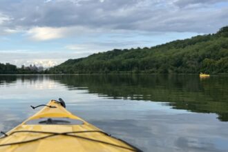 En 2009, Minnesota trató el lago Pickerel con veneno para peces para eliminar la carpa común; posteriormente, la claridad del agua aumentó casi un 600% y la cobertura vegetal pasó del 4,6% al 90% | FM Avenida