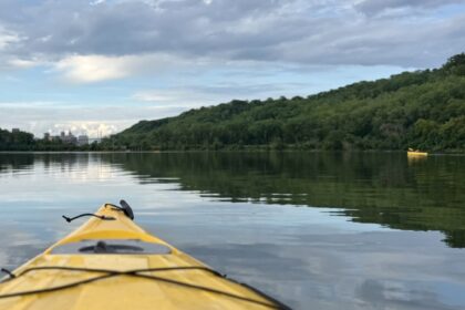 En 2009, Minnesota trató el lago Pickerel con veneno para peces para eliminar la carpa común; posteriormente, la claridad del agua aumentó casi un 600% y la cobertura vegetal pasó del 4,6% al 90% | FM Avenida