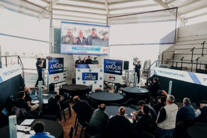 Remates con demanda firme y valores sostenidos en la Semana Angus de Primavera | FM Avenida