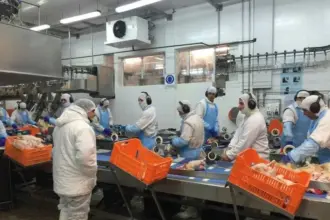 Trabajadores de Granja Tres Arroyos preparan un acampe en la planta de Pilar por despidos y salarios adeudados | FM Avenida