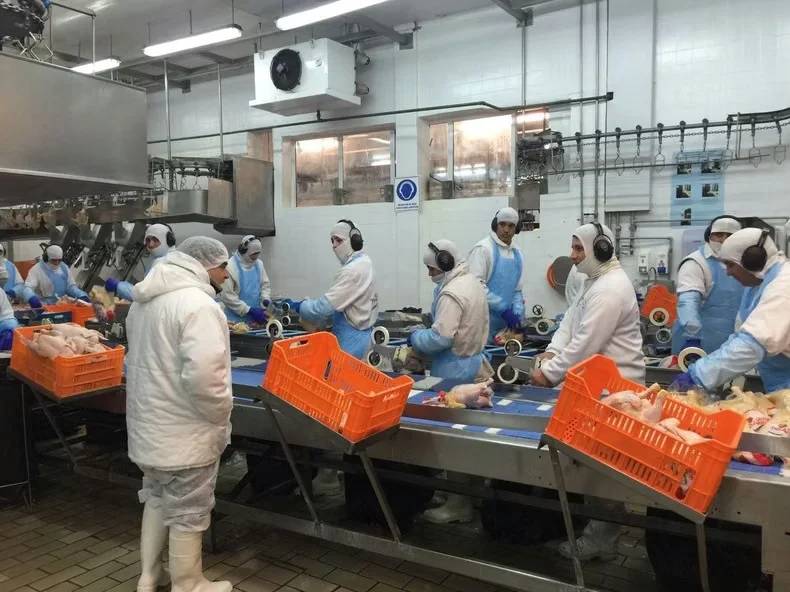 Trabajadores de Granja Tres Arroyos preparan un acampe en la planta de Pilar por despidos y salarios adeudados | FM Avenida