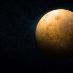 Venus, siempre Venus | FM Avenida