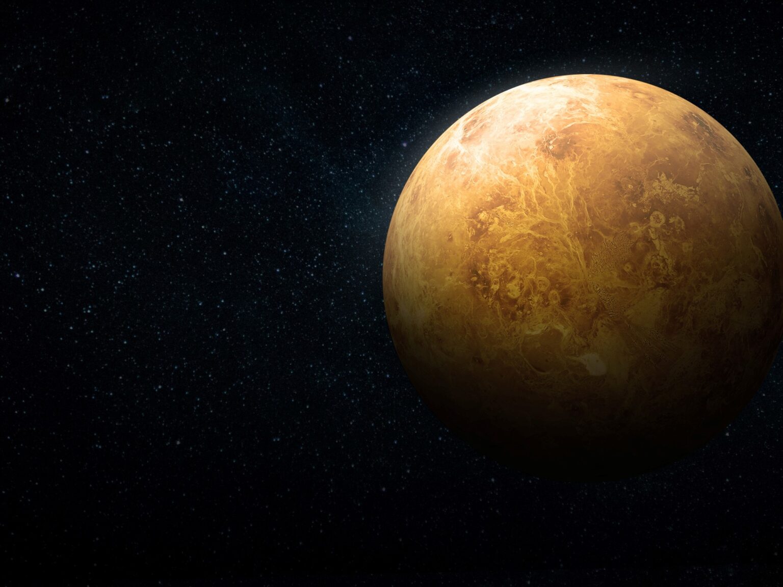 Venus, siempre Venus | FM Avenida