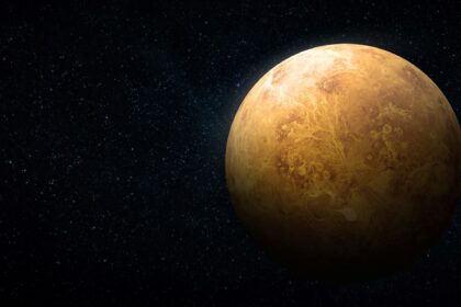 Venus, siempre Venus | FM Avenida
