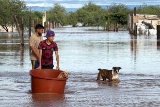 Súper Niño 2026 en Argentina, EN VIVO: cuándo será el pico de las fuertes lluvias y cómo cambiará el clima | FM Avenida