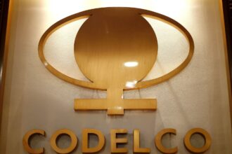 Alud en Chile: confirmaron la muerte de dos trabajadores que quedaron atrapados en una mina | FM Avenida