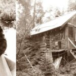 Anne LaBastille construyó una cabaña de 3,6 por 3,6 metros en lo profundo de las montañas Adirondack de Nueva York, sin electricidad, agua corriente ni camino; pasó décadas viviendo en la naturaleza y su hogar ahora está protegido para siempre | FM Avenida