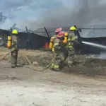 Balcarce: Miles de aves de un criadero murieron en el incendio de un establecimiento sobra ruta 226 | FM Avenida