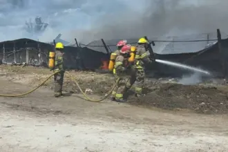 Balcarce: Miles de aves de un criadero murieron en el incendio de un establecimiento sobra ruta 226 | FM Avenida