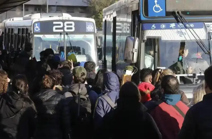 Cámaras empresarias advirtieron que podrían recortar servicios en más de 100 líneas de colectivos del AMBA por falta de fondos | FM Avenida