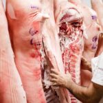 Con más carne fresca y menos chacinados, el cerdo saca "pechito" | FM Avenida