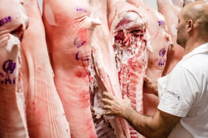 Con más carne fresca y menos chacinados, el cerdo saca "pechito" | FM Avenida
