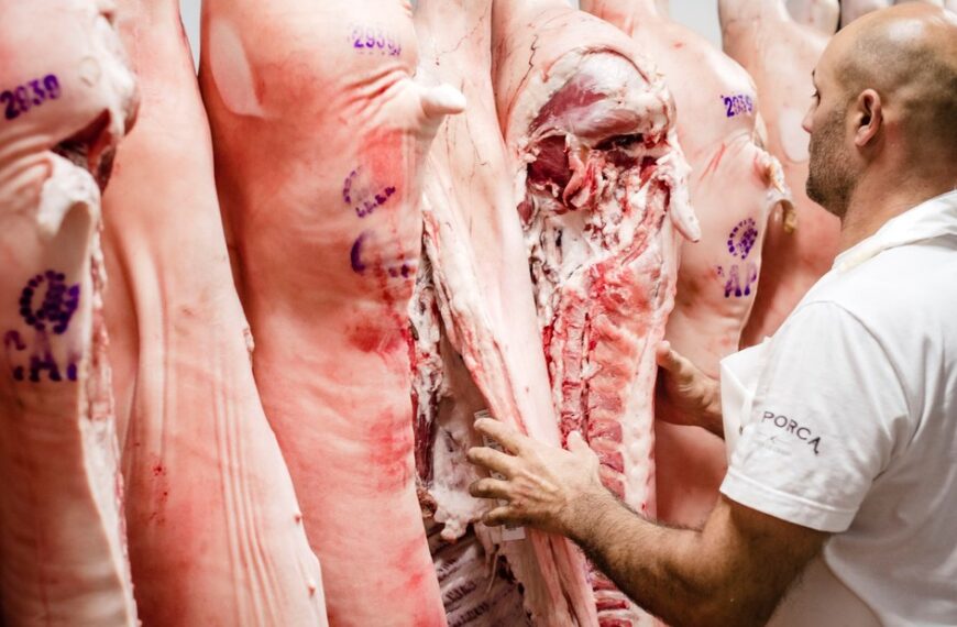 Con más carne fresca y menos chacinados, el cerdo saca "pechito" | FM Avenida