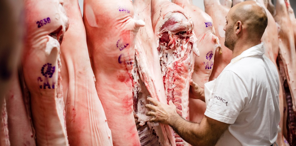 Con más carne fresca y menos chacinados, el cerdo saca "pechito" | FM Avenida
