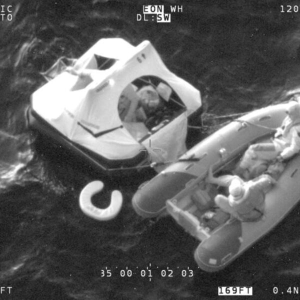 Cuatro personas sobrevivieron al hundimiento de un yate tras ser embestido por cachalotes en el Pacífico | FM Avenida